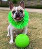 Jolly Pets Dog Jolly Soccer Ball Toy Игрушка для собак Игрушка для домашних животных дюймы (Веселые питомцы) (6 (15,2 см)) (Зеленое яблоко)