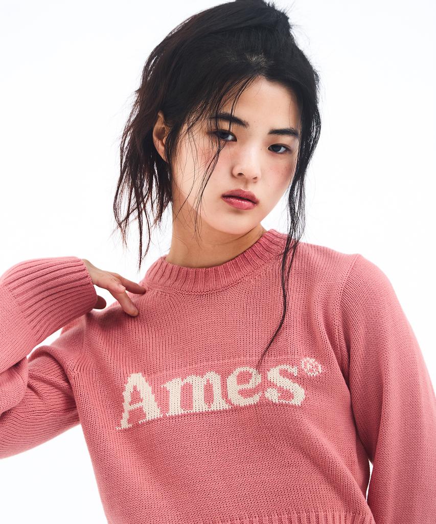 AMES-WORLDWIDE Базовый вязаный пуловер Розовый
