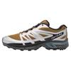 Xt-Wings 2 Adv Шнуровка Амортизирующие Прочные Низкие Походные Кроссовки Унисекс Походные Кроссовки Серебристо-Коричневые L41251600