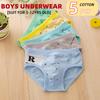 5 шт./лот трусы для мальчиков подарки нижнее белье мальчик органический хлопок мультфильм шорты трусы 2-14лет