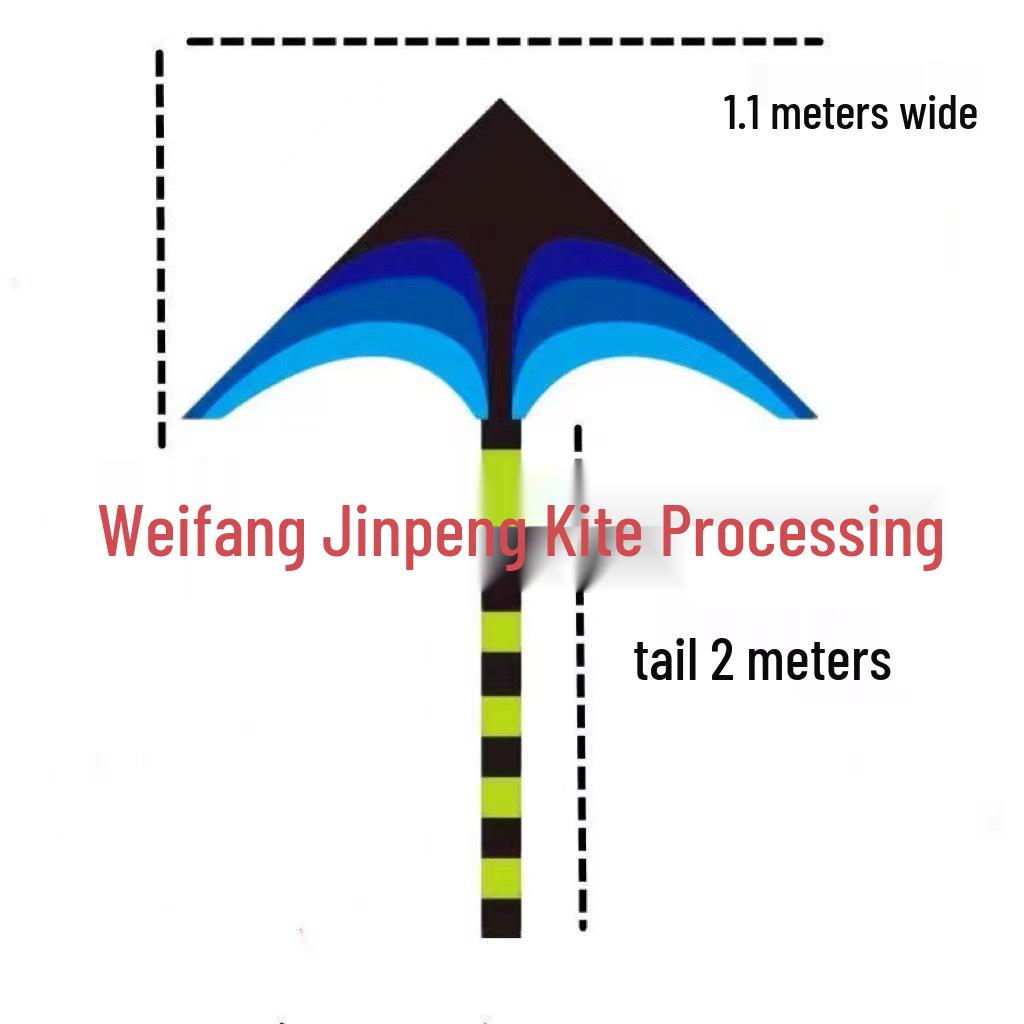 Great Plains Extra Large Rainbow Kite for Kids - Excellent Flying Cartoon Design