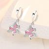 Lindon Copper Alloy Zircon Earrings Drop Earrings For Women Wedding Party Gifts