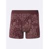 Boxer Shorts Bandana