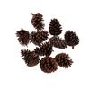 10pcs Pine Cones Baubles Hanging Christmas Tree Holiday Decoration A 6-8CM