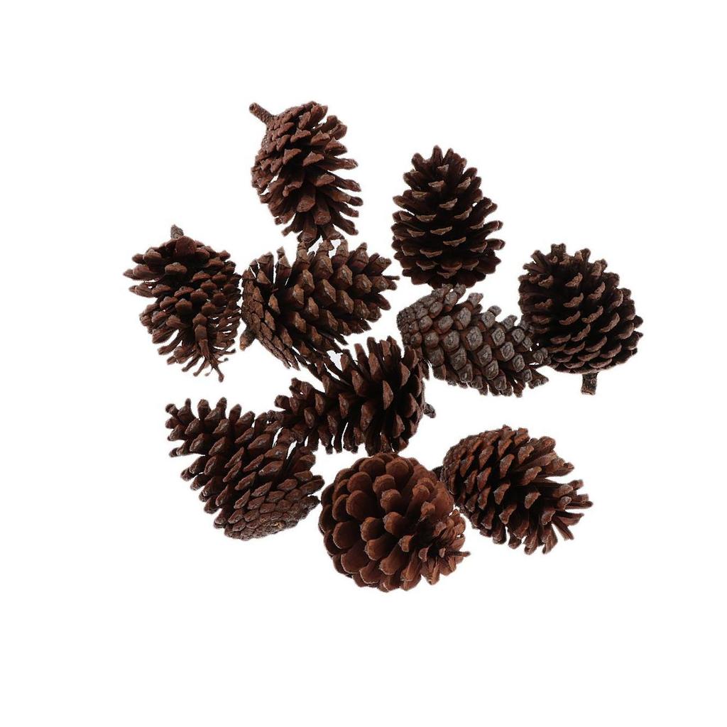 10pcs Pine Cones Baubles Hanging Christmas Tree Holiday Decoration A 6-8CM