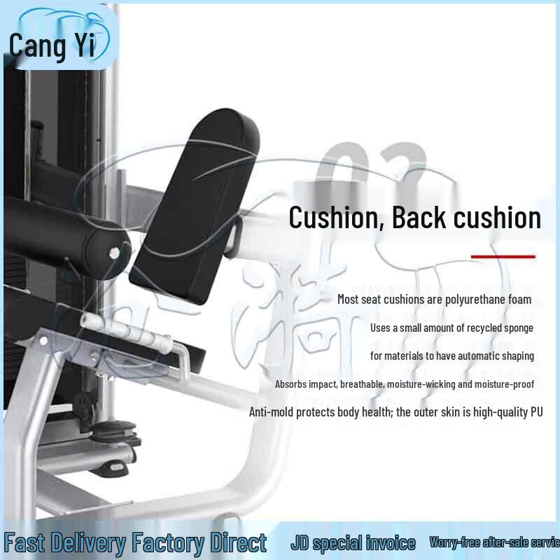 Commercial Seated Leg Extension & Curl Machine