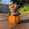 Halloween Pumpkin Decorations Resin Pumpkin Figurines with Cat Table Centerpieces for Outdoor Indoor Fairy Garden Decors