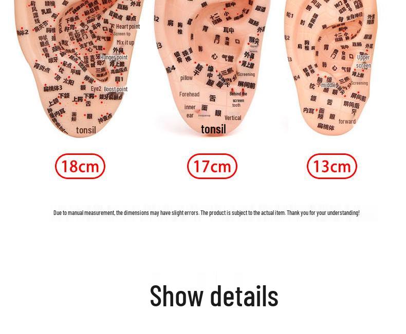 Модель рефлекторной зоны ушной акупунктурной точки 13 см - 18 см для акупунктуры и меридианной терапии