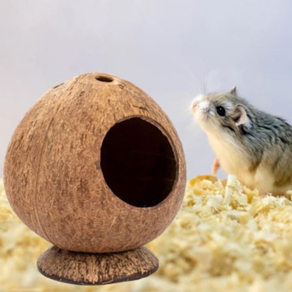 Bite Resistance Bite-resistant Natural Coconut Shell Coconut Guinea-pig Hamster Hideout House