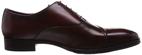 Madras Men's Lace-Up Elegant Business Shoes, M419, Dark Brown-Red, Size 24.5cm, 2.5E