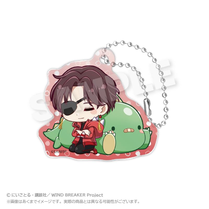 WIND BREAKER Trading Acrylic Keychains Gyaokore Box ver. 8-Piece