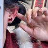 Элегантные красные серьги-лошадки с жемчугом – Двусторонние серьги для женщин на Осень/Зиму
