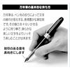 PLATINUM platinum fountain pen Plaisir fine print black PGB-1000#1-2