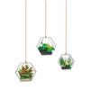 [R1816] - Лист наклеек «Suspensions Plantes» зелено-коричневый - 20x70 см