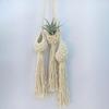 Hanging Basket Pineapple Shape Landscaping Cotton Macrame Flower Planter for Living Room