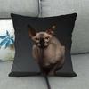 Модные кошки и милые домашние животные Чехлы на подушки из короткого плюша с цифровой печатью для автомобильного дивана офисной подушки домашние товары
