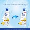 Head & Shoulders Anti-Dandruff Shampoo