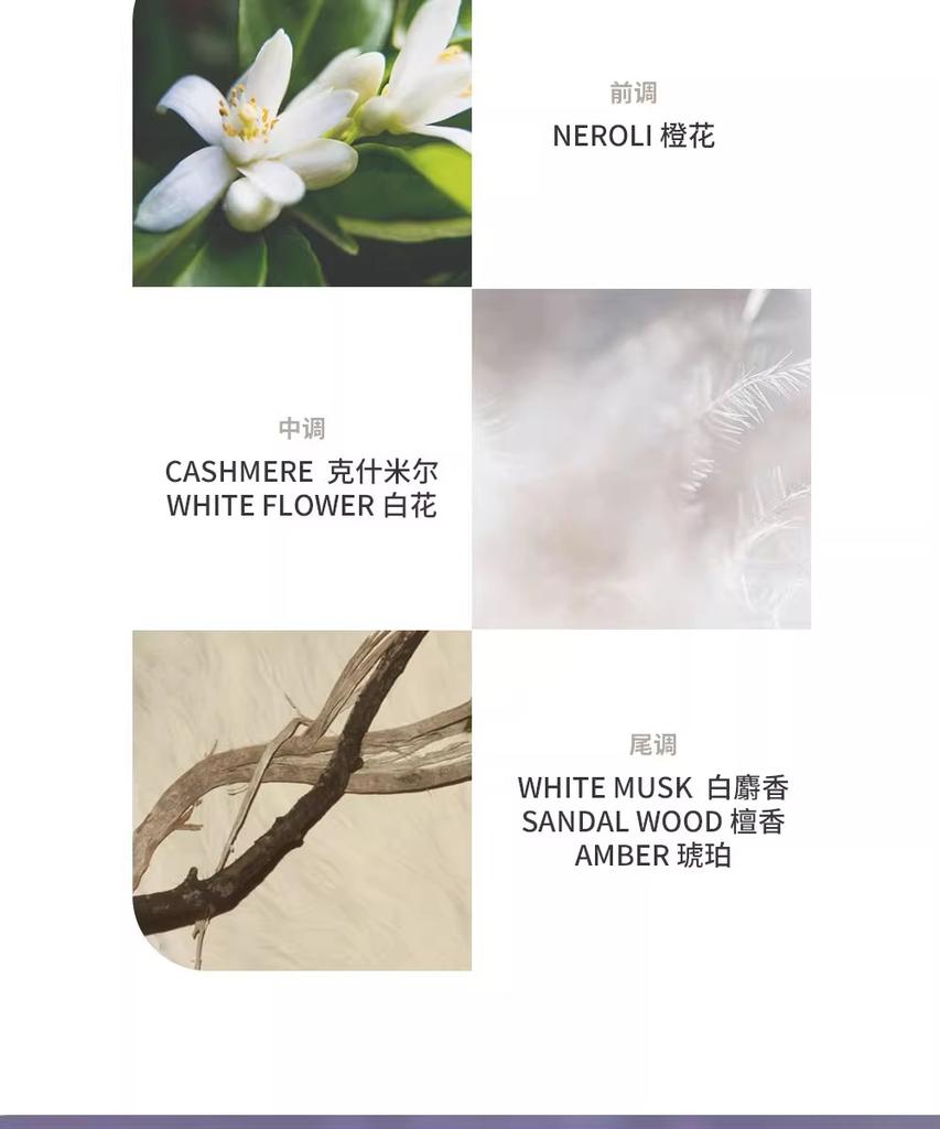 Imported original daily fragrance shower gel for home use, large capacity, long-lasting fragrance, high-end shower and bath