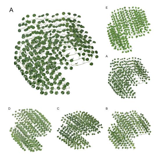 Портативная искусственная лоза многоразовая 5 стилей тонкое мастерство