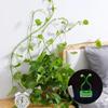 50-10PCS Plant Climbing Wall Self-Adhesive Fixed Buckle Hook Fastener Tied Fixture Buckle Garden Plant Wall Climbing Vine Clips