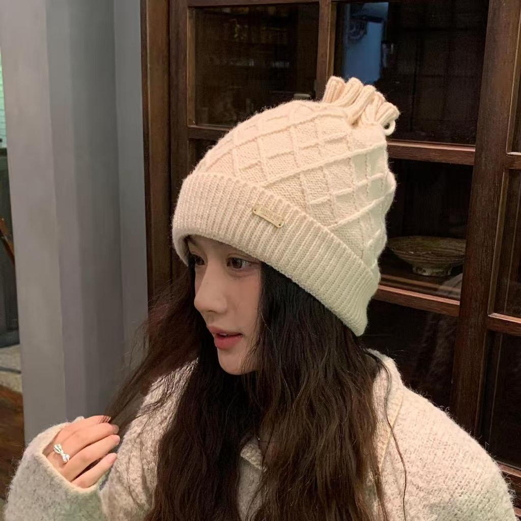 Autumn And Winter Women'S Wool Hats Thickened Warm Knitted Outdoor Cold-Proof Cotton Hats Casual Versatile Stacking Hats