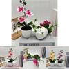 Butterfly Orchid Artificial Plant Home Decor Wedding Photography Prop With Plastic Material For Indoor Use