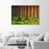 Печать на холсте, Лес Деревья Мох Природа