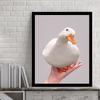 Плакаты с уткой на ладони, забавные картины на холсте, современный принт, настенный художественный декор, домашние фотографии