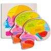 Human Body Brain Structure Montessori Toys Torso Organ Study Multi- Layered Puzzles Games STEM Educational Learning Toys for Kid