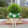 Cute Mushroom Flowerpot Succulent Planter Resin Hanging Vase Creative for Garden Yard Balcony Living Room Decor