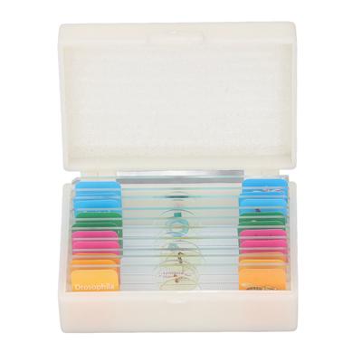 10 шт. предметных стекол для микроскопа с образцами животных растений насекомых стеклянные предметные стекла лабораторные принадлежности для