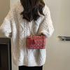 This year, the popular bag ladies 2025 new mini chain bag autumn and winter woolen fashion shoulder crossbody bucket bag
