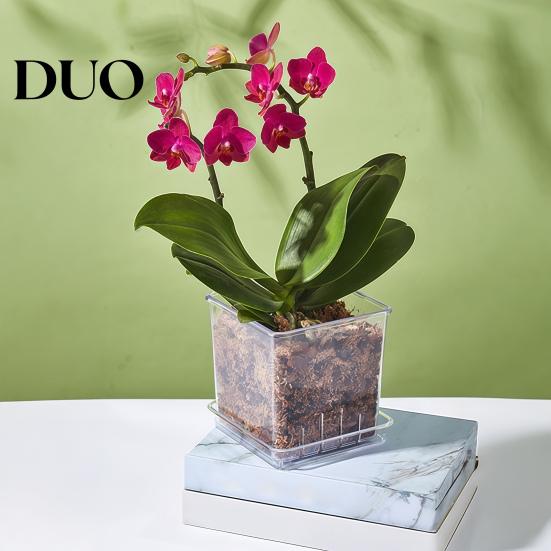 Clear Gardening Pot with Holes Orchid Planter Saucer, Square Plant Plastic Drainage Holes, Transparent Flowerpot for Phalaenopsis, Seedings Flower