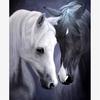 Full 5D DIY Diamond Painting Black and White Horse Diamond Embroidery Cross Stitch Kit Rhinestone Home Decor Gift
