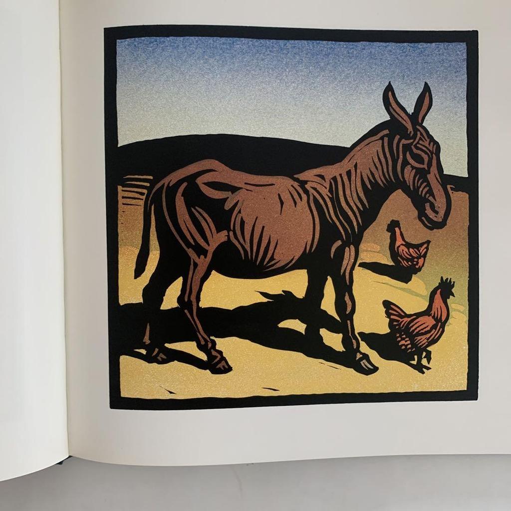 [USED] AN ALPHABET OF ANIMALS