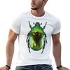 Green scarab beetle (Protaetia speciosissima) TShirt Plus Size Summer Casual TShirt