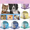 Pet Tick Flea Collar For Dogs And Cats Adjustable Size Eco Friendly Material Pvc