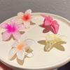 Candy Color Ponytail Clip Flower Bang Hairpin Cute Hair Clips  Summer