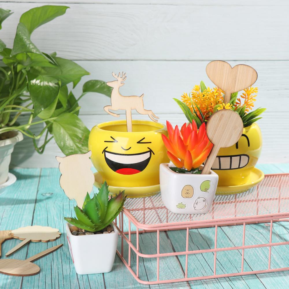 Shapes Nursery Pots Plant Markers Planting Tags Garden Wooden Labels Bamboo Crafts Bonsai Ornament