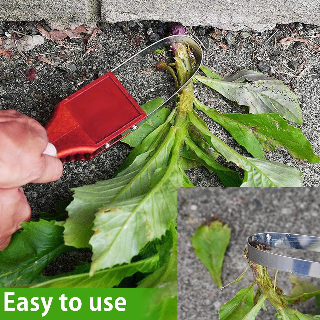 Hand Loop Weeder Tool Garden Metal Loop Design Manual Weeders Tool With Plastic Handle For Weeding