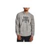 Under Armour Мужские толстовки с капюшоном свободного кроя с принтом ретро-букв серые 1379766-114