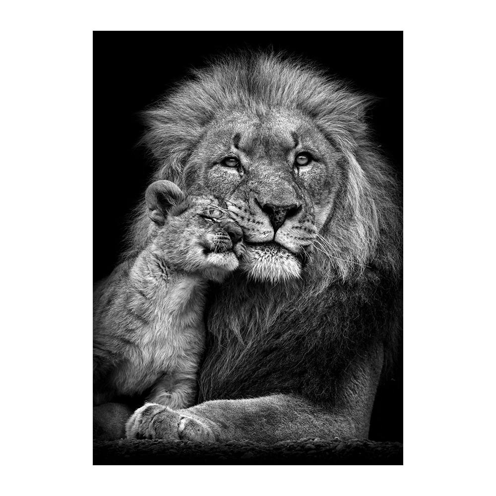 Африканский лев в темноте, настенные постеры и принты, животные, холст, картины, натюрморт, декор для дома