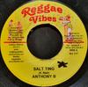 7inch Record ANTHONY B / LUKIE D - Salt Ting / Too Shy RV117 Reggae Vibes 2004 Jamaica Reggae, Ska & Dub Used