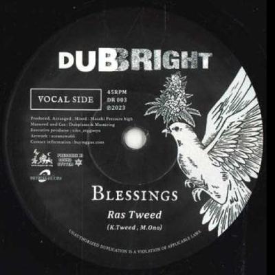 7-дюймовая пластинка RAS TWEED - Blessings DR003 Dubright 2023 Германия Регги, Ска и Даб