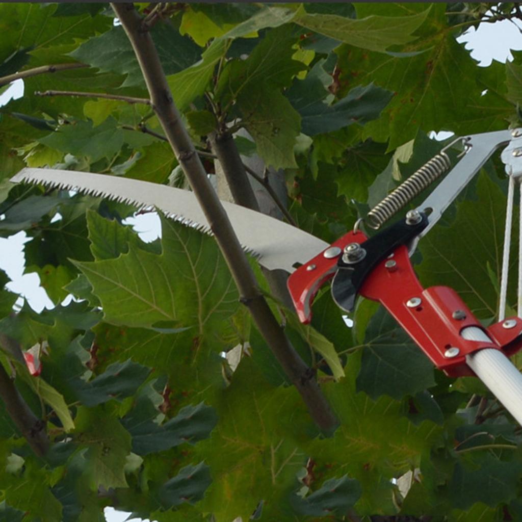4-х колесный острый садовый секатор для обрезки деревьев, триммер для обрезки