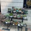 Металлические подставки для цветов из нержавеющей стали, балконная полка для растений, водонепроницаемая многоярусная лестница-полка.