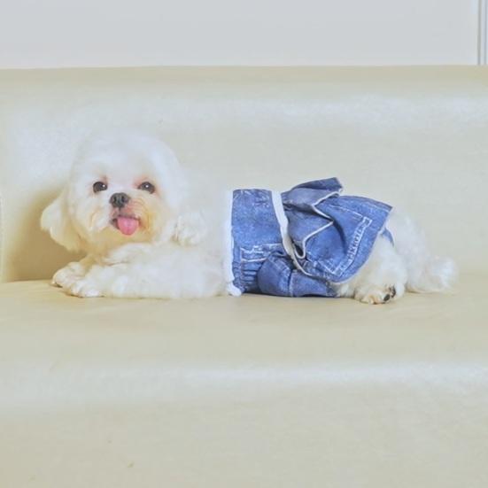 Yousheng Dog Menstrual Pant Женское нижнее белье для собак во время менструации Стирающиеся подгузники для домашних животных Гигиенические трусики для щенков Защитные брюки для мочеиспускания