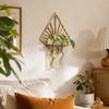 Vase Hydroponic Plant Holder Home Ornaments Flower Pot Wall Hanging Planter Shelf  Wall Mount