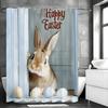 Пасхальная шторка для душа Кролик Пасхальные яйца Деревянный Праздник весны Кролик Украшение для ванной комнаты Полиэстеровая шторка для душа Водонепроницаемый Шо