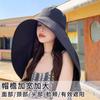 Sunscreen Visor, Women's Summer Big Brim, Face Cover Hat, Face Mask, Neck Protection, Integrated Cycling, Driving, Travel, Sun Hat